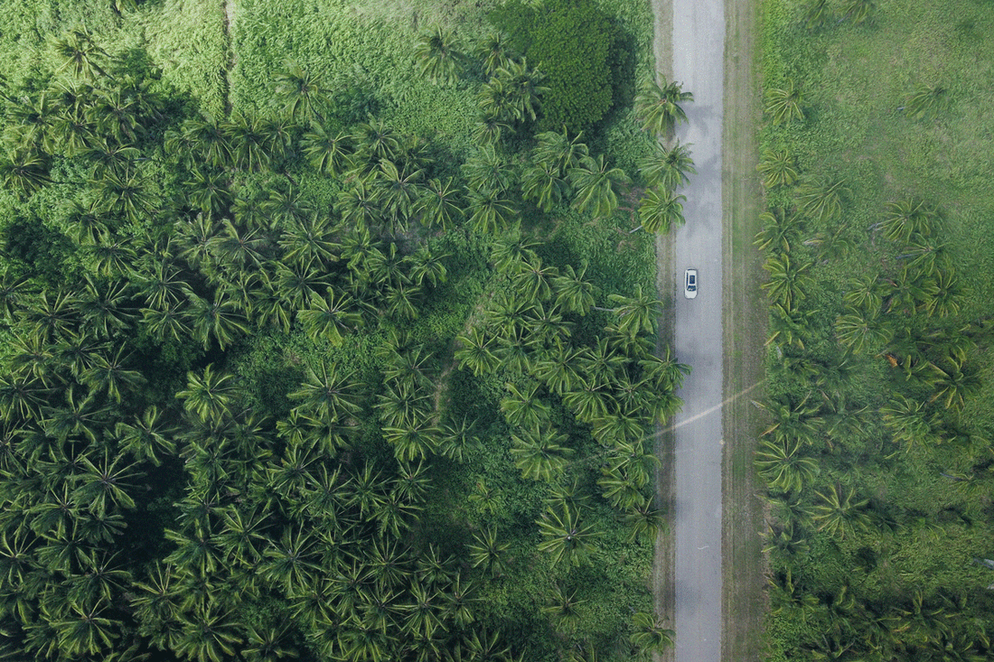 Is supporting sustainability important?